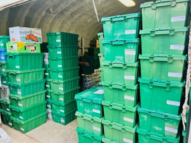 Raquel Rakovac for Ward 2_18